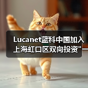 虹口区跨国公司总部服务平台启动，赋能企业出海