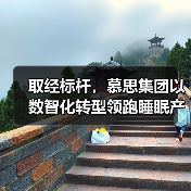 取经标杆，慕思集团以数智化转型领跑睡眠产业新纪元（图3）