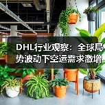 DHL行业观察:全球局势波动下空运需求激增(图1) DHL行业观察:全球局势波动下空运需求激增(图1)