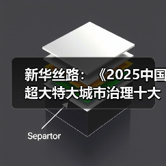 新华丝路:《2025中国超大特大城市治理十大案例》正式发布(图3) 新华丝路:《2025中国超大特大城市治理十大案例》正式发布(图3)