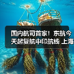 国内航司首家！东航今天起复航中印航线 上海浦东—德里每周执行3班（图2）