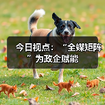 今日视点：“全媒矩阵”为政企赋能（图3）