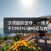 沙漠里的坚守，一场关于DIKENI迪柯尼与自然的长期主义对话（图3）