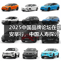 2025中国品牌论坛在雄安举行，中国人寿探讨普惠金融高质量发展“国寿实践”（图1）