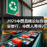 2025中国品牌论坛在雄安举行，中国人寿探讨普惠金融高质量发展“国寿实践”（图4）