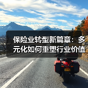保险业转型新篇章：多元化如何重塑行业价值？（图4）