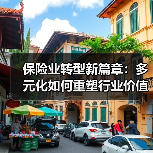 保险业转型新篇章：多元化如何重塑行业价值？（图2）