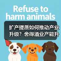 扩产提质如何推动产业升级？舍得酒业产能升级成效显著（图2）