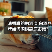 清香雅韵融河湟 白酒品牌如何深耕高原市场？（图2）