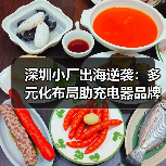深圳小厂出海逆袭:多元化布局助充电器品牌年赚7亿(图1) 深圳小厂出海逆袭:多元化布局助充电器品牌年赚7亿(图1)