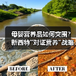 母婴营养品如何突围？新西特