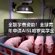 全额学费资助！全球青年申请AISL哈罗奖学金，两年预科课程助力卓越成长（图4）