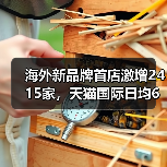 海外新品牌首店激增2415家，天猫国际日均6家开店（图1）