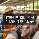 宜家中国深化“生长+”战略 探索“家 给生活更多”新内涵（图3）