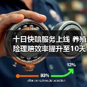 十日快赔服务上线 养殖险理赔效率提升至10天内办结(图3) 十日快赔服务上线 养殖险理赔效率提升至10天内办结(图3)