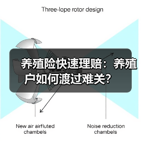 养殖险快速理赔：养殖户如何渡过难关？（图2）