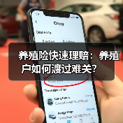 养殖险快速理赔：养殖户如何渡过难关？（图4）