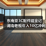东南亚3C配件掘金记 湖南老板年入10亿冲刺港交所(图4) 东南亚3C配件掘金记 湖南老板年入10亿冲刺港交所(图4)