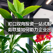 虹口双向投资一站式服务联盟如何助力企业出海？（图1）