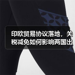 印欧贸易协议落地,关税减免如何影响两国出口?(图4) 印欧贸易协议落地,关税减免如何影响两国出口?(图4)