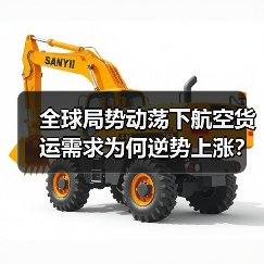 全球局势动荡下航空货运需求为何逆势上涨？（图1）