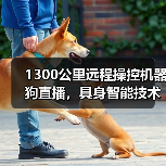 1300公里远程操控机器狗直播，具身智能技术实现跨领域应用突破（图1）