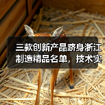 三款创新产品跻身浙江制造精品名单，技术实力如何脱颖而出？（图2）