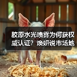 胶原水光喷雾为何获权威认证？焕妍说市场地位声明解析（图1）