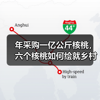 年采购一亿公斤核桃，六个核桃如何绘就乡村振兴新图景（图4）