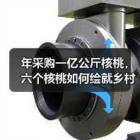 年采购一亿公斤核桃，六个核桃如何绘就乡村振兴新图景（图3）