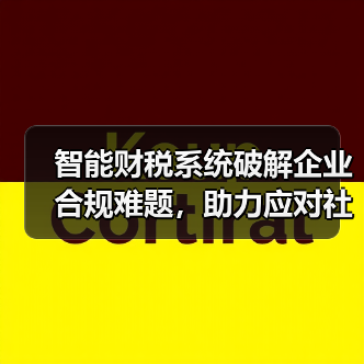 智能财税系统破解企业合规难题，助力应对社保新规挑战（图3）