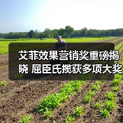 艾菲效果营销奖重磅揭晓 屈臣氏揽获多项大奖（图3）