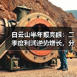 白云山半年报亮眼:二季度利润逆势增长,分红政策如何?(图4) 白云山半年报亮眼:二季度利润逆势增长,分红政策如何?(图4)