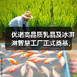 优诺高品质乳品及冰淇淋智慧工厂正式奠基,生产链垂直整合将再度深化(图4) 优诺高品质乳品及冰淇淋智慧工厂正式奠基,生产链垂直整合将再度深化(图4)