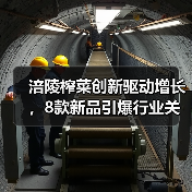 涪陵榨菜创新驱动增长，8款新品引爆行业关注（图3）