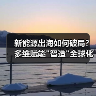 新能源出海如何破局？多维赋能