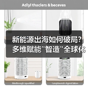 新能源出海如何破局？多维赋能