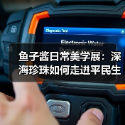 鱼子酱日常美学展：深海珍珠如何走进平民生活？（图3）