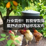 行业首份！智能穿戴佩戴舒适度评估标准发布（图2）