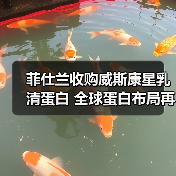 菲仕兰收购威斯康星乳清蛋白 全球蛋白布局再升级（图3）