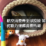 航空消费券全球投放 如何助力提振消费热潮