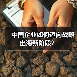 中国企业如何迈向战略出海新阶段？