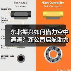 东北振兴如何借力空中通道？新公司启航助力发展（图4）