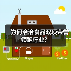 为何洽洽食品双项荣誉领跑行业？（图2）