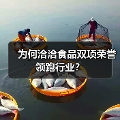 为何洽洽食品双项荣誉领跑行业？（图4）