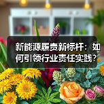 新能源履责新标杆：如何引领行业责任实践？（图2）