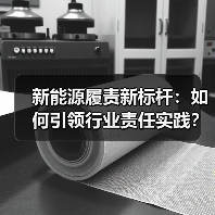 新能源履责新标杆：如何引领行业责任实践？（图4）