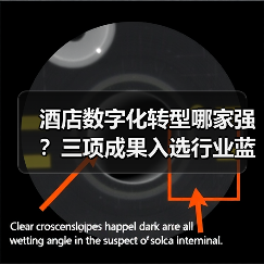 酒店数字化转型哪家强？三项成果入选行业蓝皮书揭秘成功秘诀！（图2）