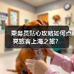 乘务员贴心攻略如何点亮旅客上海之旅?(图2) 乘务员贴心攻略如何点亮旅客上海之旅?(图2)