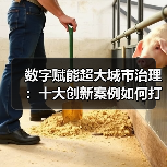 数字赋能超大城市治理：十大创新案例如何打造智慧未来？